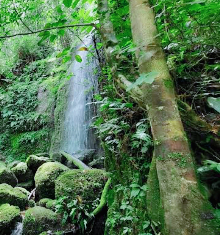 dumasari nauli waterfall