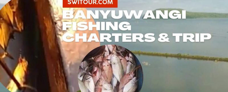 Banyuwangi fishing
