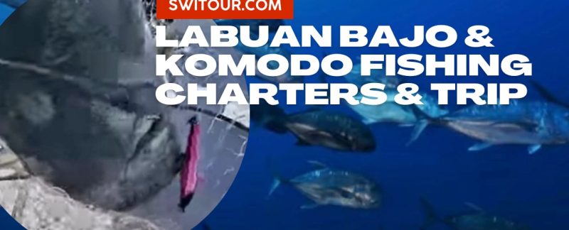 Komodo island fishing