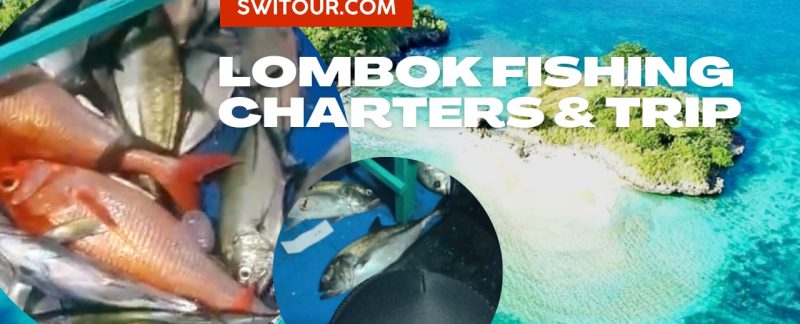 Lombok fishing