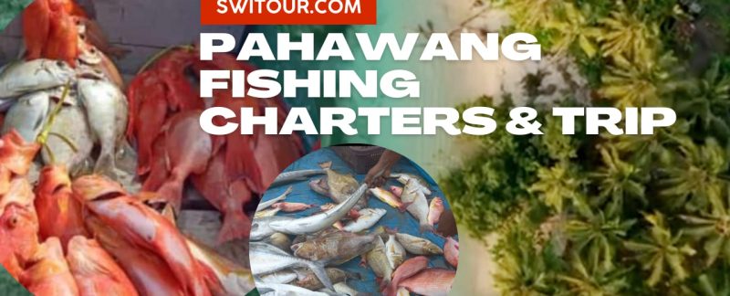 Pahawang fishing